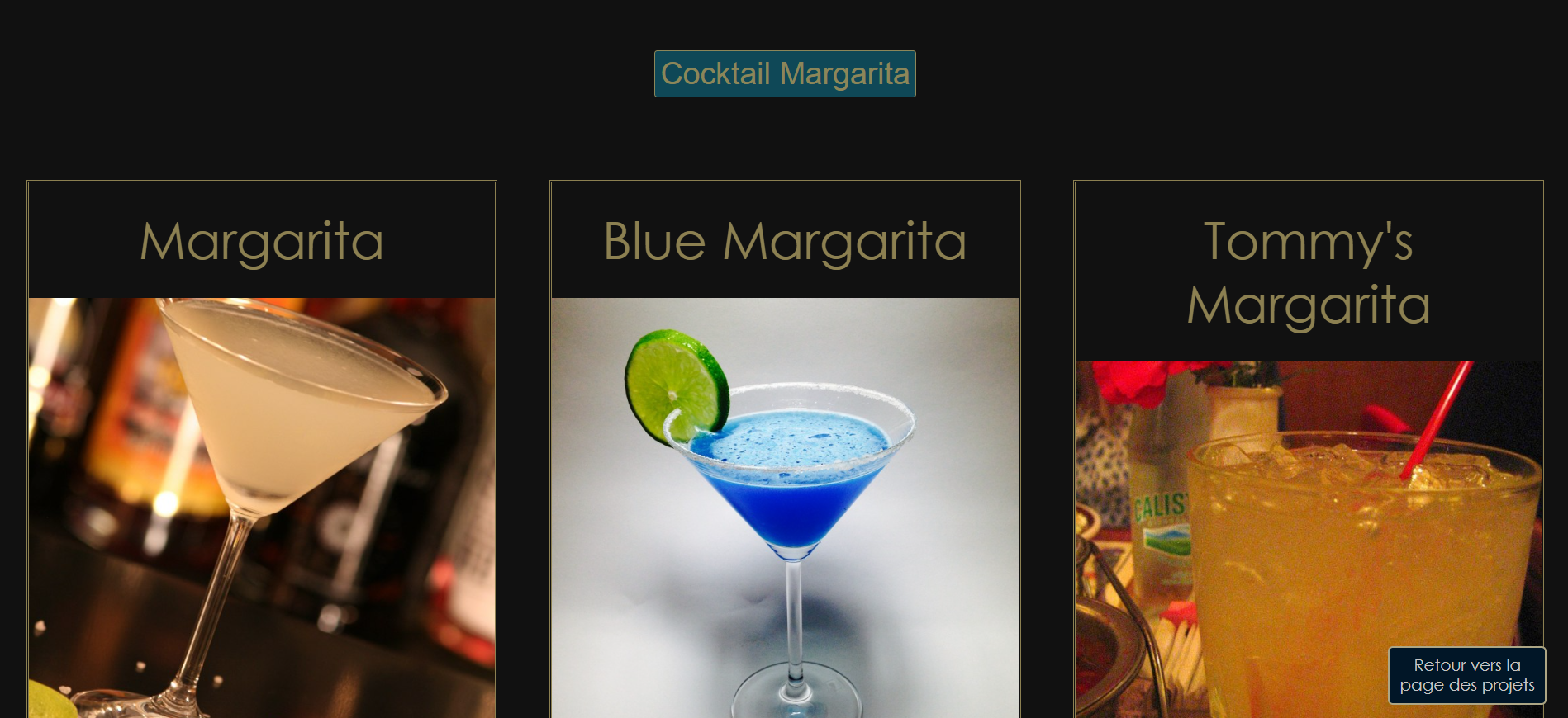 Image du projet 'TP margarita ' 