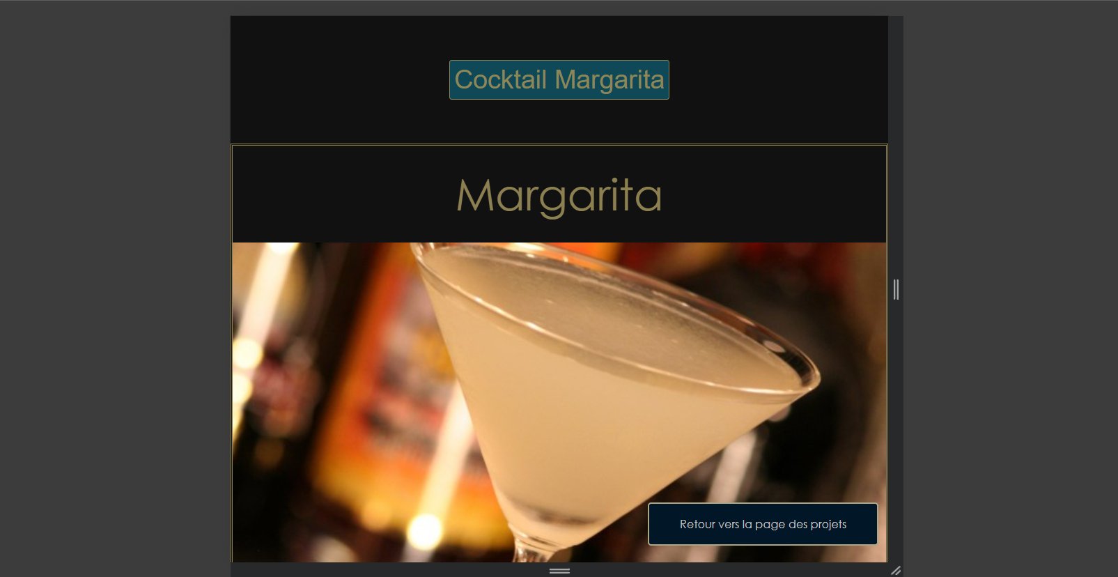 Image du projet 'TP margarita ' 